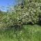 Sebastopol Wine Country Home with Vineyard Views - سيباستوبول