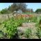 Sebastopol Wine Country Home with Vineyard Views - سيباستوبول
