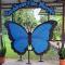 Caribbean Blue Morpho Casitas