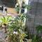 Summer Homestay@civic centre