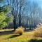 Winifreds Hideaway - Berea