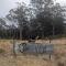 Bajimba Eco Camp & and Farm Stay