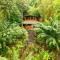 Copa De Arbol Beach & Rainforest Resort