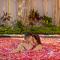 Kanhara Villas Ubud by GenuineHost