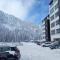 Apartman Winter night Snježna dolina