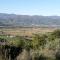 Vigna del Poggio