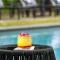 Protea Hotel by Marriott O R Tambo Airport