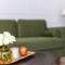 Charming Elegance at The Pontcanna Pearl - Prime Location with Comfort and Style