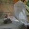Sitio Simple Life