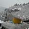 Borjomi Nest 1