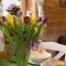 Domki KOLONIA LEŚNA z sauną i gorącą balią