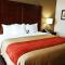Comfort Inn & Suites Covington - Mandeville