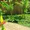 Botanic Garden Villa Siem Reap - Siem Reap