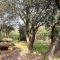 Pet Friendly Home In Vers-Pont-Du-Gard - Vers-Pont-du-Gard