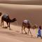 Merzouga Camel Ride & Overnight Desert Camp - 梅尔祖卡