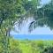 Sinfonía Tropical, ocean view, 5 minutes driving to Playa Linda, 15 to Dominical, wifi Starlink - Savegre