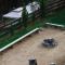 Private Nature Glamping Cabin with Pool & BBQ Retreat