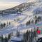 Porthos Ski-in Lodge with private hot tub and sauna in Lapland