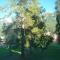 Brentsch Park B - Ski Wandern Pool Sauna Relax - 施库尔