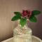 Warm house Foreigner only - Сеул