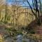 Trest Forest