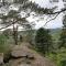 L'Ours Vert - Baerenthal