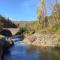 Rives de Bourges