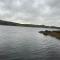Estuary view Farmhouse - Killadysert