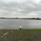 Estuary view Farmhouse - Killadysert