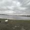 Estuary view Farmhouse - Killadysert