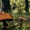 Aframe Lake Hottub, shared pet friendly low fee - Sturgis