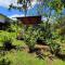 Serene Rainforest Escape - Studio - Tigra