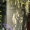 Splendid Provençal Villa with Pool and View - 奥比尼昂