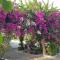 Little Paradise