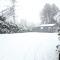 Chalet Venepoel, rustig en bosrijk gelegen met zwemvijver en hottub - 卡斯特尔莱