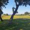 Gartenwohnung mit Meerblick - Aphrodite Hills erleben