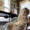 Asheville Urban Farmhouse Entire Home 4 mi to DT