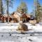 4BR Cabin with Hot Tub – Ultimate Truckee Escape cabin - Траки