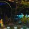 TK Coconut Camping - Tanjung Karang