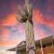 Old Whitmer Place Apache Junction - Apache Junction