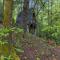 Creekside - Rogers Creekside - Rogers
