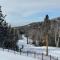 Lake View Ski in Ski out Lutsen Mtn Pets Welcome - Lutsen
