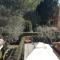 Aurelia Garden Gold B&B