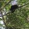 Nature Lovers Quepos - 奎波斯城