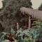 BOSQUE SECRETO Ecolodge - 佩雷拉