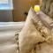 Cheviot House Gallery And Guest Rooms - 伍勒