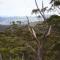 Bajimba Eco Camp & and Farm Stay