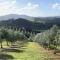 Private Olive Grove Studio - Mangonui