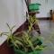 Gayatri Homestay