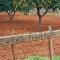 Celebi Garden Hotel - Cittaslow Retreat